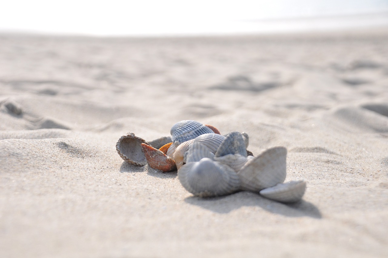 beach-4509303_1280